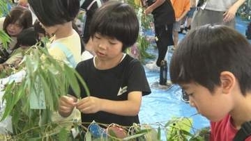 七夕の短冊に「ポテチの容器が白黒からカラフルにもどりますように」　島根県松江市津田地区で恒例の「七夕通り」づくり