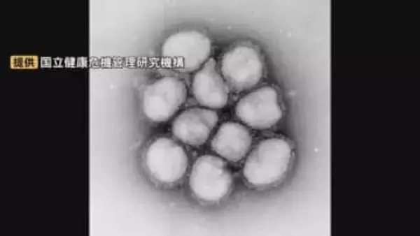 インフルエンザB型増え始め…島根では今冬、記録取り始めて最も多い数字記録