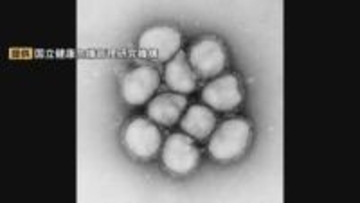 インフルエンザB型増え始め…島根では今冬、記録取り始めて最も多い数字記録