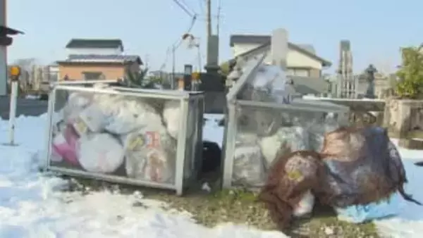 「ごみの収集を3日間中止させていただくことになりました」集積場にあふれるごみの山…大雪の影響で可燃ごみ収集を中止の影響、雪解けとともに明らかになる倒竹被害も