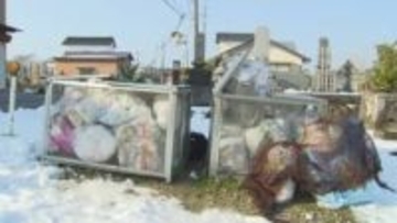 「ごみの収集を3日間中止させていただくことになりました」集積場にあふれるごみの山…大雪の影響で可燃ごみ収集を中止の影響、雪解けとともに明らかになる倒竹被害も