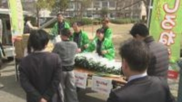 大雪被害を受けた白ネギを救いたい　通常の半額並みの価格「雪かぶりねぎ」に客殺到