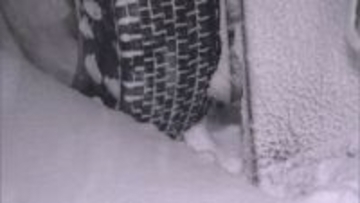 8日頃にかけ広い範囲で大雪となる見込み　積雪・凍結道路ですべり止めの措置をとらない運転は「法令違反」…国交省中国地方整備局が注意呼びかけ　雪道で物流事業者による悪質な立ち往生が発生した場合は、行政処分の対象になることも