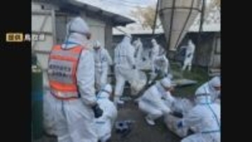 鳥インフルエンザ発生で…ニワトリ7万5000羽の殺処分完了　米子市内の養鶏場