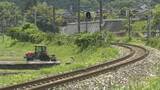 「列車と「シカ」の衝突事故相次ぐ理由…「鉄分や塩分を求めてレールを舐めに来ている」可能性　シカが暑さ対策か　JRの人気寝台特急「サンライズ出雲」や「特急やくも」にも運休などの影響　シカがわざわざ線路にやってくる」の画像1