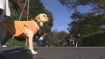 「がち可愛いよ」　生徒の心癒やし穏やかな心の成長促す「スクールドッグ」　島根県松江市