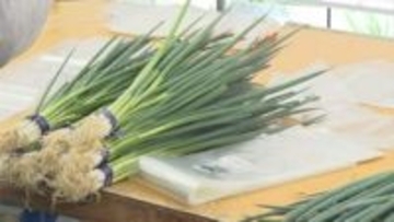 “ナフサショック”　農家にも影響…「野菜があっても出荷できないような状態が近づいてるような気がする」