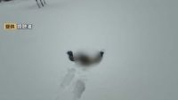 雪の積もった広場を歩いていたら…穴が空いて子どもが転落　この穴の正体は？　県がカラーコーン設置で対応　大雪時は足元注意