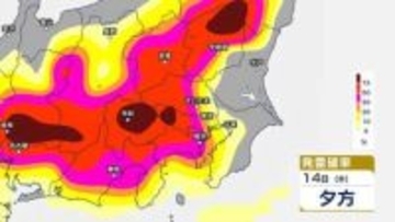 【関東甲信】14日も天気急変のおそれ…ゲリラ雷雨に注意　雨風と発雷確率のシミュレーション【東京・神奈川・埼玉・千葉・群馬・栃木・茨城・山梨・長野】