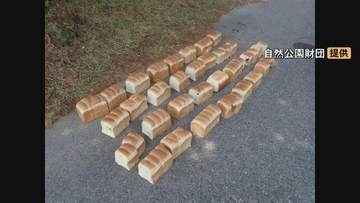 国立公園大山内の県道沿いに連日「大量の食パン」「鶏のレバー」不法投棄…5日にわたり約40キロ　「普通の不法投棄と完全に違う目的」周辺ではクマ目撃情報…餌付けにつながる危険性