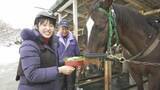 「最大震度5強の地震発生時も、馬同士が互いの様子を気遣うような姿も見られた…引退した競走馬と触れ合える「大山乗馬センター」で話題　午年「馬用おせち」とは？」の画像1