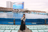 「イルカが“様子見”に集合　SKE48鎌田菜月が語る、水族館で出会ったやさしい瞬間」の画像1