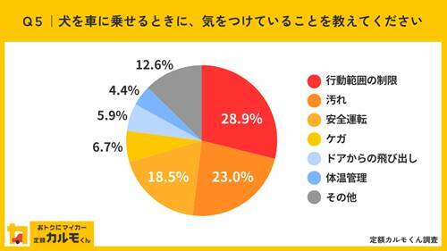 【独自調査】【愛犬家の車選びに関する意識調査】 約６割が犬を乗せることを考慮して車を選んでいる