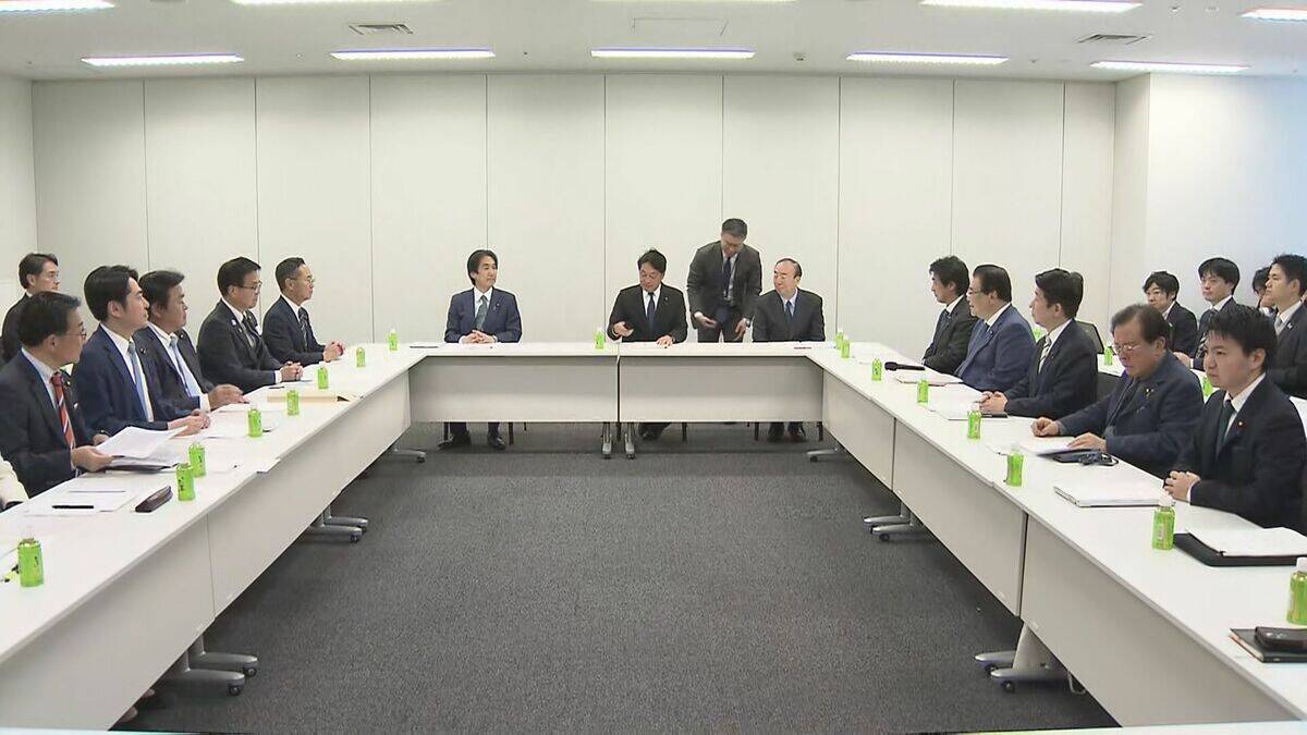 あの真冬の衆院選から3か月…争点の「消費税減税」で公約はどうなった？ 食品消費税ゼロ％は「レジの改修に1年」 いま生活者は何を思う 政治の役割は「まず実行すること」