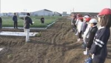 小学生が特産の｢青ネギ｣収穫体験 地元の食材や農業の大切さを学ぶ 26軒の農家で栽培 三重･伊勢市