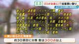 「子どもの日記やボロボロの布もお金になる!? 昭和のおもちゃが驚きの価格に 年末の大掃除前に必見 出張買い取りに密着」の画像19