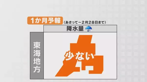 「｢農業始めて40年。ここまで雨が少ないのは初めて｣ 記録的な少雨で野菜の生育･価格にも影響が…？ ダイコンは小さく キャベツは軽く 愛知」の画像