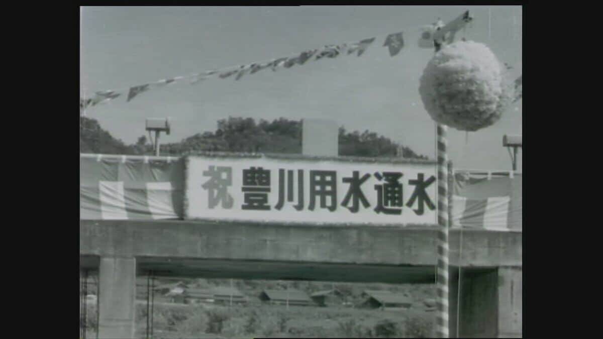 ｢農業始めて40年。ここまで雨が少ないのは初めて｣ 記録的な少雨で野菜の生育･価格にも影響が…？ ダイコンは小さく キャベツは軽く 愛知