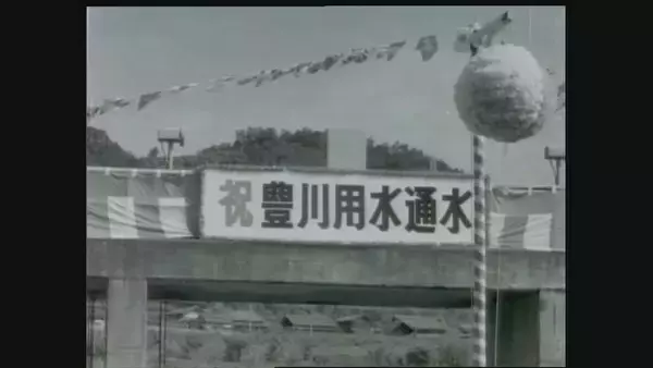 「｢農業始めて40年。ここまで雨が少ないのは初めて｣ 記録的な少雨で野菜の生育･価格にも影響が…？ ダイコンは小さく キャベツは軽く 愛知」の画像