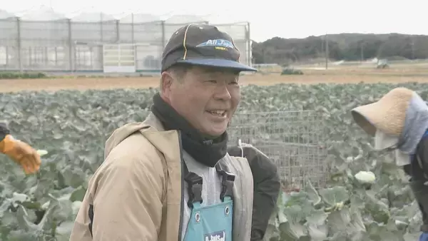 「｢農業始めて40年。ここまで雨が少ないのは初めて｣ 記録的な少雨で野菜の生育･価格にも影響が…？ ダイコンは小さく キャベツは軽く 愛知」の画像