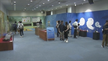 地元で発見 “トバリュウ”実物化石を展示 ｢ジュラシックアクアリウム展｣ 鳥羽水族館で9月27日まで開催