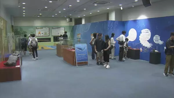 地元で発見 “トバリュウ”実物化石を展示 ｢ジュラシックアクアリウム展｣ 鳥羽水族館で9月27日まで開催