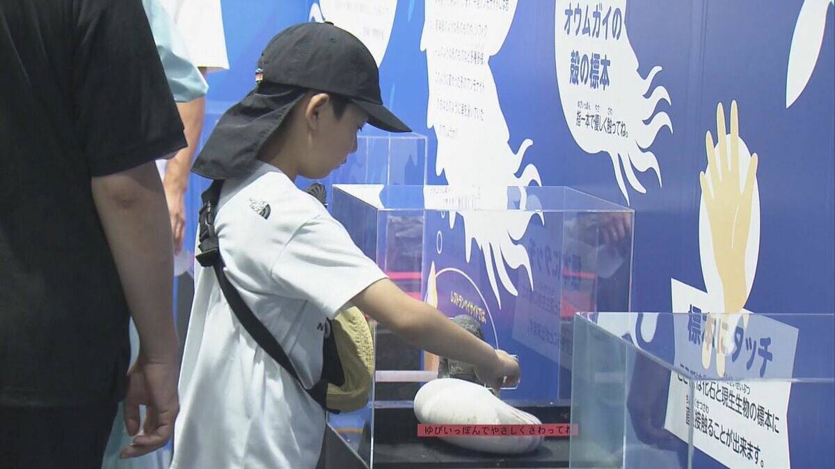 地元で発見 “トバリュウ”実物化石を展示 ｢ジュラシックアクアリウム展｣ 鳥羽水族館で9月27日まで開催