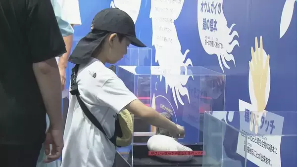 「地元で発見 “トバリュウ”実物化石を展示 ｢ジュラシックアクアリウム展｣ 鳥羽水族館で9月27日まで開催」の画像