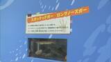 「地元で発見 “トバリュウ”実物化石を展示 ｢ジュラシックアクアリウム展｣ 鳥羽水族館で9月27日まで開催」の画像4