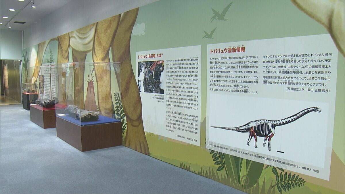 地元で発見 “トバリュウ”実物化石を展示 ｢ジュラシックアクアリウム展｣ 鳥羽水族館で9月27日まで開催