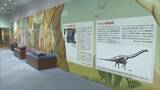 「地元で発見 “トバリュウ”実物化石を展示 ｢ジュラシックアクアリウム展｣ 鳥羽水族館で9月27日まで開催」の画像5