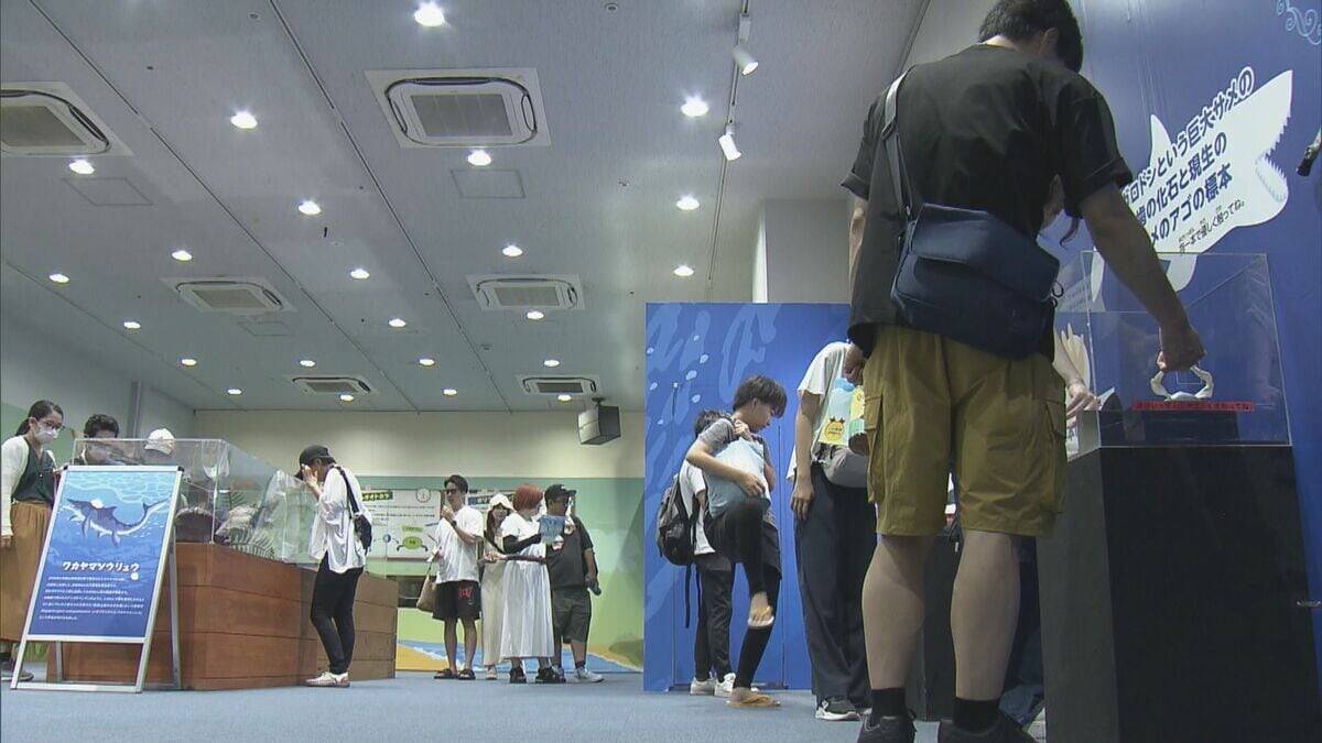 地元で発見 “トバリュウ”実物化石を展示 ｢ジュラシックアクアリウム展｣ 鳥羽水族館で9月27日まで開催