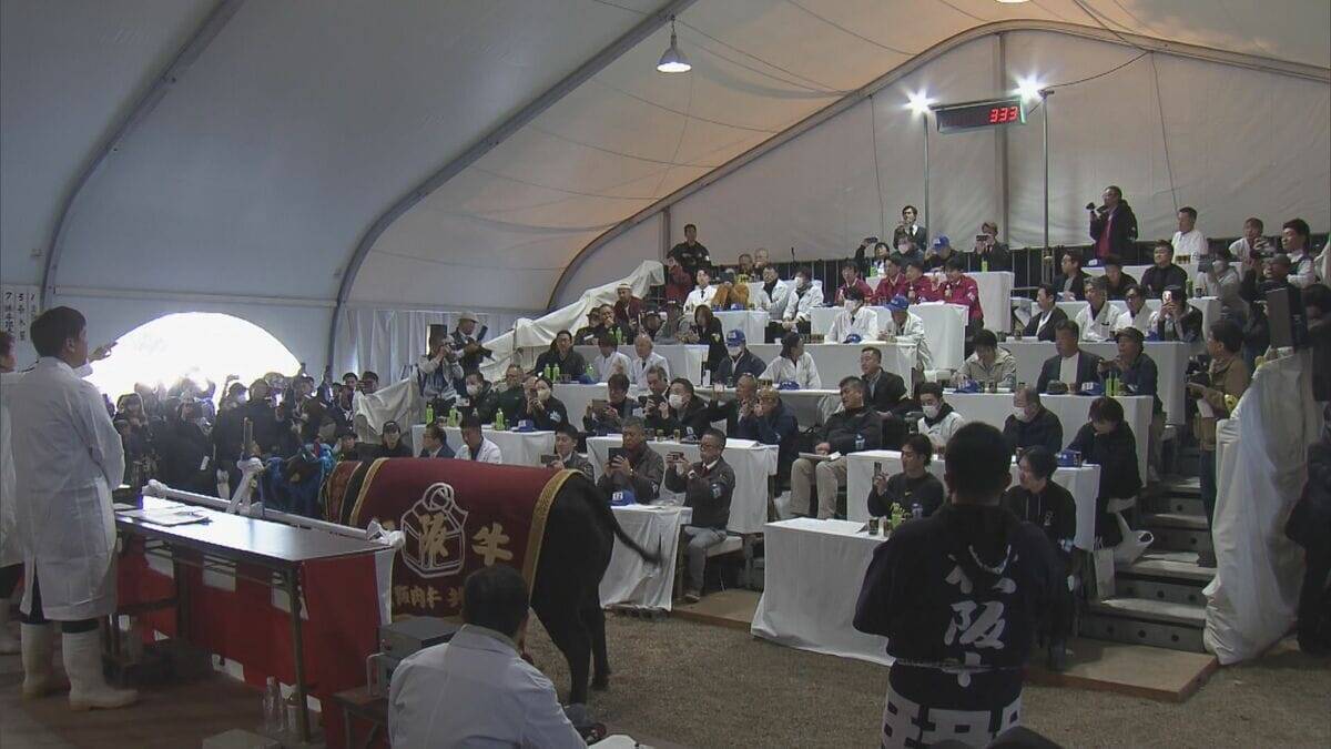 選び抜かれた“松阪牛”の品評会 最優秀“かずみ号”は過去最高額5259万円で落札 これまでの最高額を250万円以上も上回る