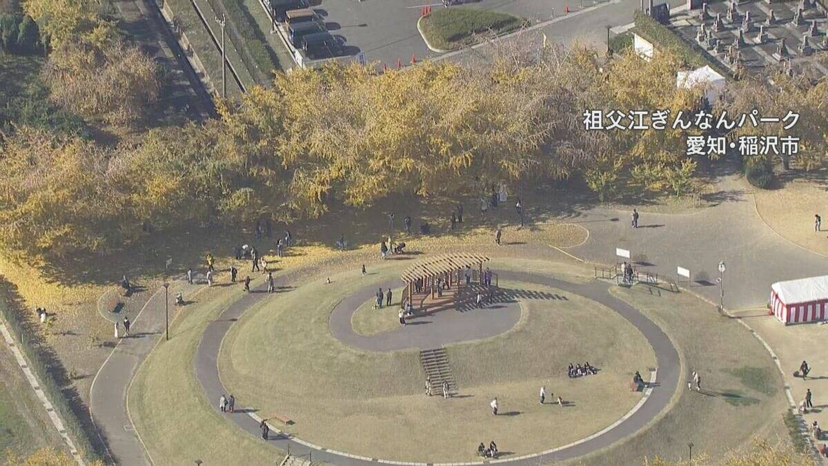 “黄色のじゅうたん”も… 愛知・岐阜・三重の紅葉の進み具合は？伊勢神宮や東山動植物園などの名所を上空からチェック【11月26日】