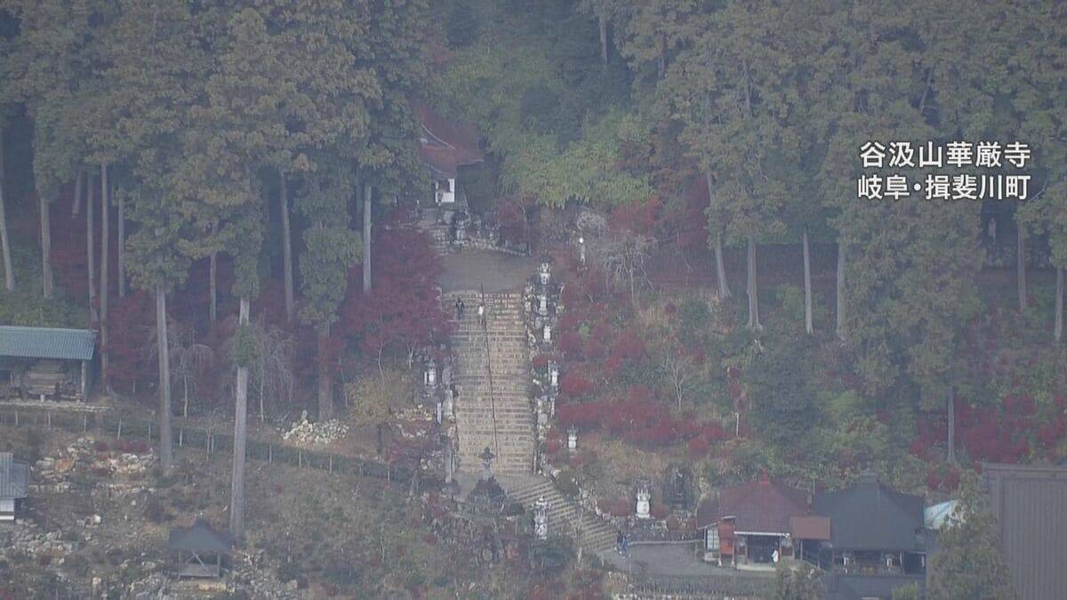 “黄色のじゅうたん”も… 愛知・岐阜・三重の紅葉の進み具合は？伊勢神宮や東山動植物園などの名所を上空からチェック【11月26日】