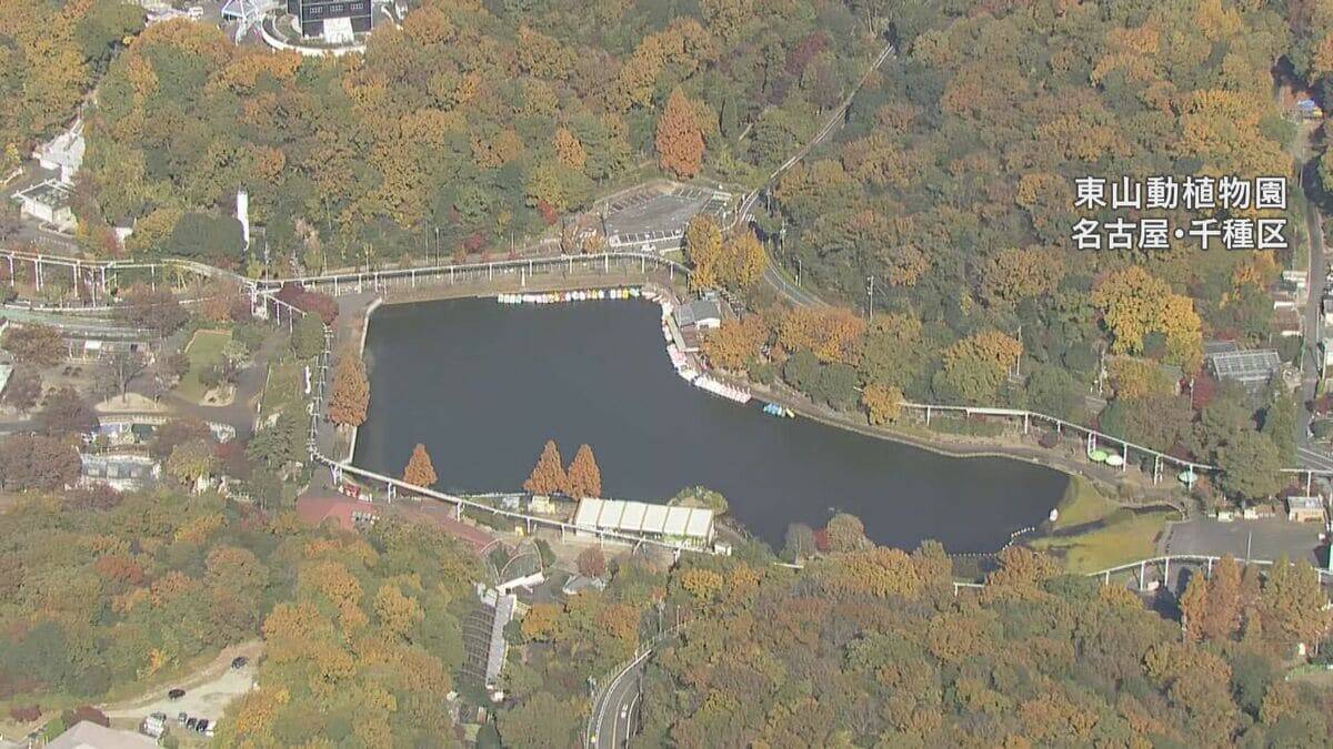 “黄色のじゅうたん”も… 愛知・岐阜・三重の紅葉の進み具合は？伊勢神宮や東山動植物園などの名所を上空からチェック【11月26日】