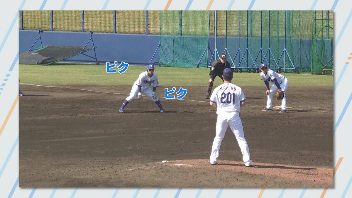 ドラゴンズのため移住したカップル 東京→名古屋へ 彼女は高橋周平のシルエットに涙 カラオケの締めは応援歌⁉ 初の沖縄キャンプに密着