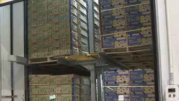 “黄色いバナナ”がピンチ？ナフサ不足で熟成促すエチレンガスが入手困難… ｢企業努力では限界が来る｣