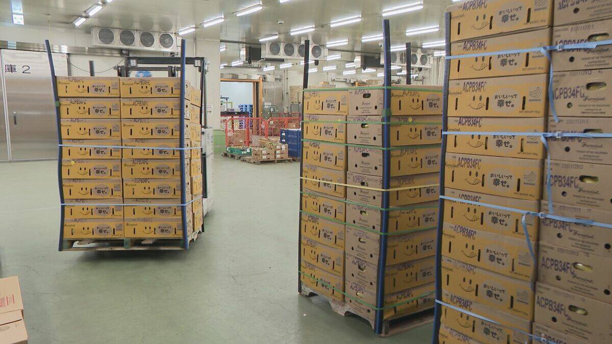 “黄色いバナナ”がピンチ？ナフサ不足で熟成促すエチレンガスが入手困難… ｢企業努力では限界が来る｣