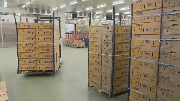 「“黄色いバナナ”がピンチ？ナフサ不足で熟成促すエチレンガスが入手困難… ｢企業努力では限界が来る｣」の画像