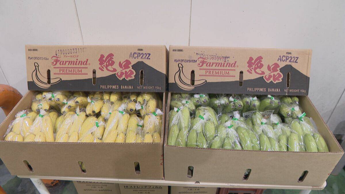 “黄色いバナナ”がピンチ？ナフサ不足で熟成促すエチレンガスが入手困難… ｢企業努力では限界が来る｣