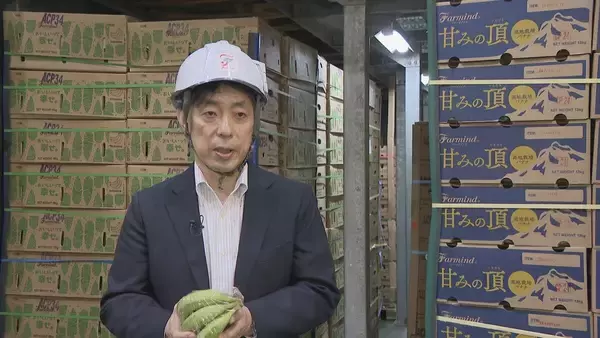「“黄色いバナナ”がピンチ？ナフサ不足で熟成促すエチレンガスが入手困難… ｢企業努力では限界が来る｣」の画像