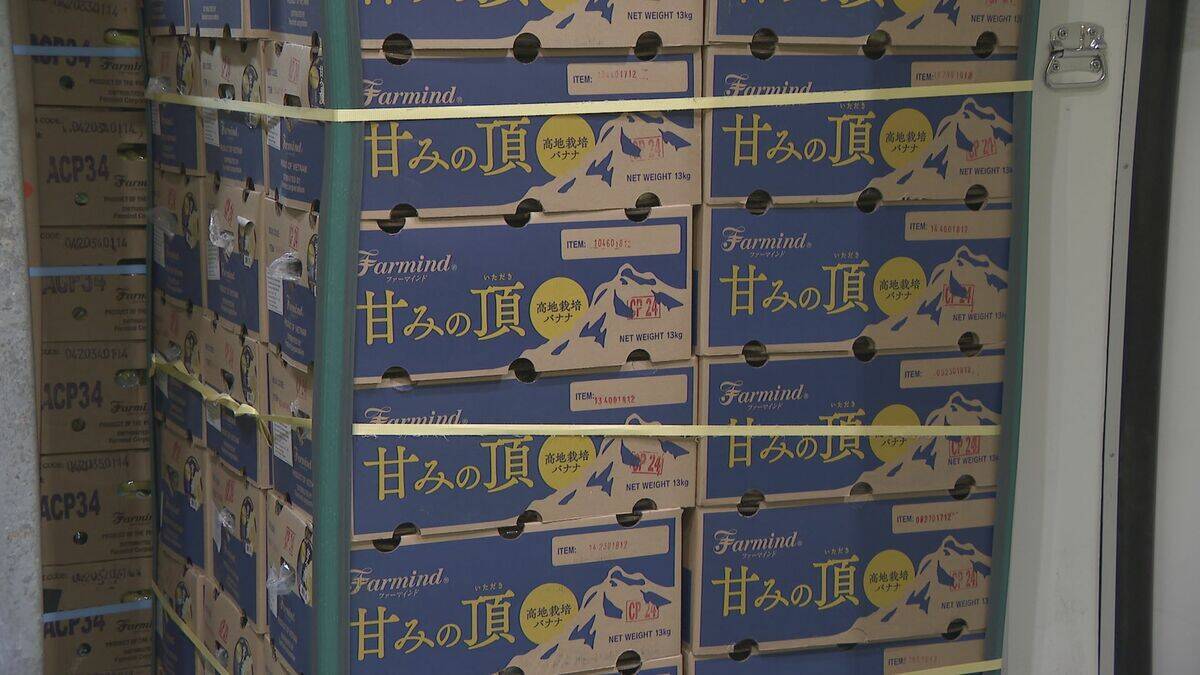 “黄色いバナナ”がピンチ？ナフサ不足で熟成促すエチレンガスが入手困難… ｢企業努力では限界が来る｣