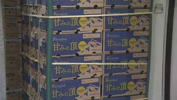 「“黄色いバナナ”がピンチ？ナフサ不足で熟成促すエチレンガスが入手困難… ｢企業努力では限界が来る｣」の画像