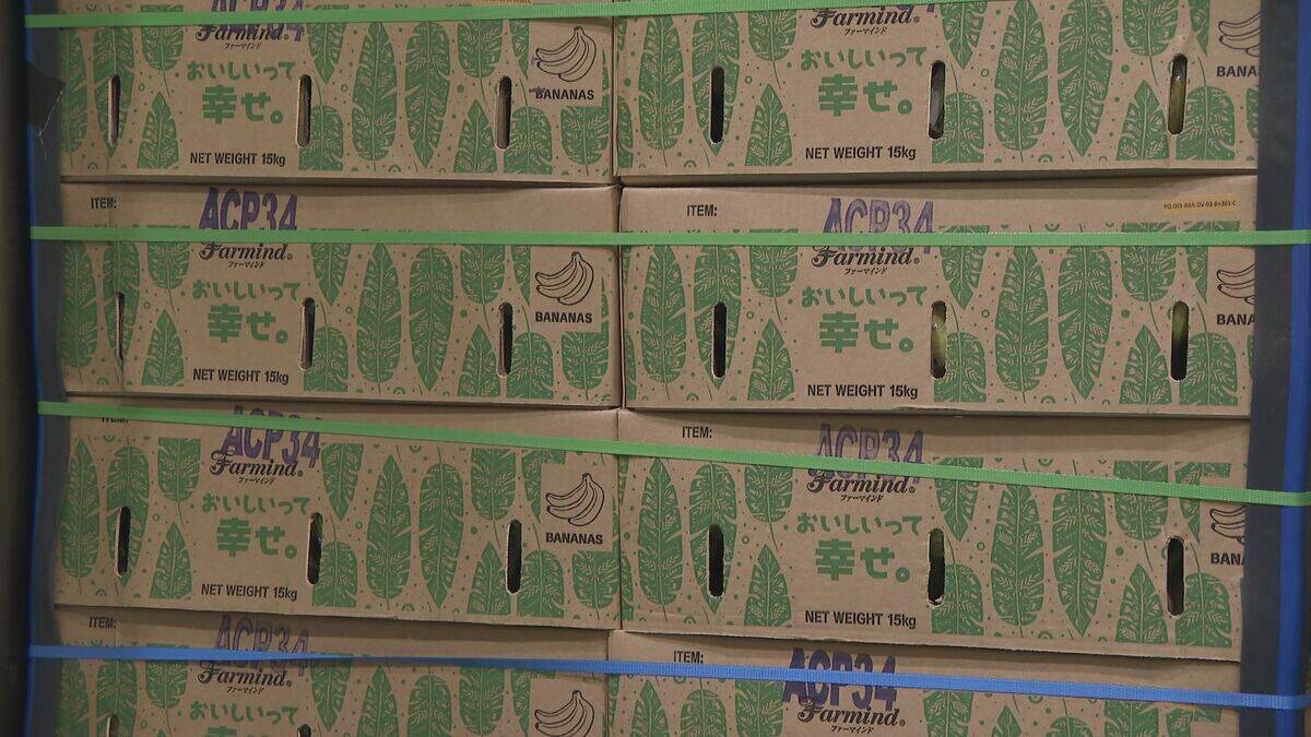 “黄色いバナナ”がピンチ？ナフサ不足で熟成促すエチレンガスが入手困難… ｢企業努力では限界が来る｣