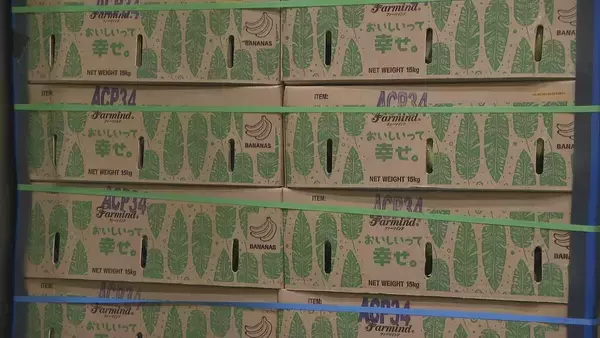 「“黄色いバナナ”がピンチ？ナフサ不足で熟成促すエチレンガスが入手困難… ｢企業努力では限界が来る｣」の画像