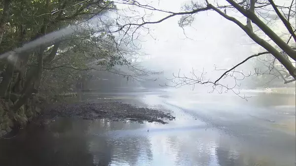伊勢神宮で自衛消防団による"消防出初式" 地元の18歳以上の男性で…明治時代から続く 一年の防火への誓いをたてて 三重･伊勢市