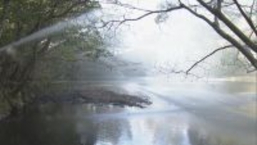 伊勢神宮で自衛消防団による"消防出初式" 地元の18歳以上の男性で…明治時代から続く 一年の防火への誓いをたてて 三重･伊勢市