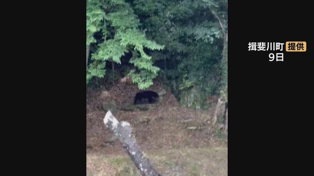 ｢クマが道路を渡った｣ 小学校から約500mの交差点近く ブロック塀の上を悠然と歩く姿も…体長1mほどの成獣か 岐阜･揖斐川町