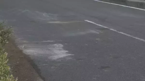 「無免許運転でひき逃げ疑い 自称アルバイトの22歳男を逮捕 車を貸した疑いで無職の25歳男も逮捕 名古屋･瑞穂区」の画像